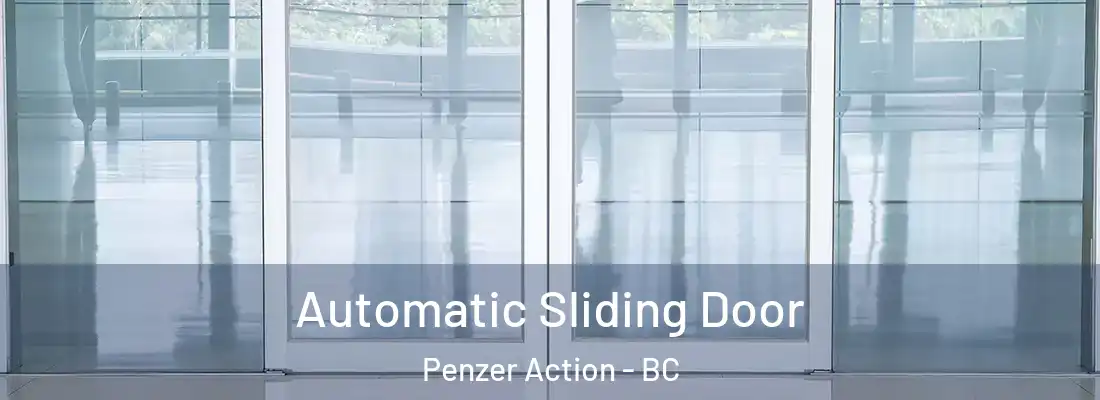  Automatic Sliding Door Penzer Action - BC