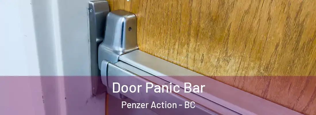  Door Panic Bar Penzer Action - BC
