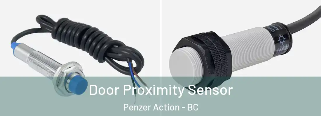  Door Proximity Sensor Penzer Action - BC