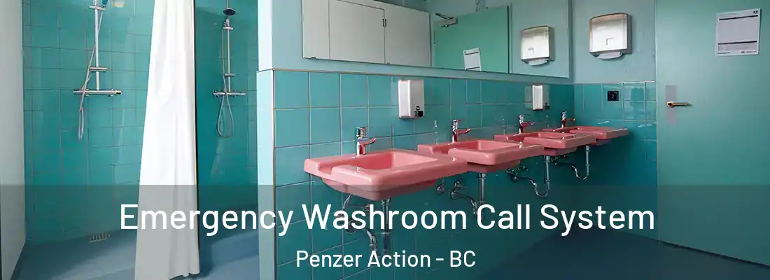  Emergency Washroom Call System Penzer Action - BC