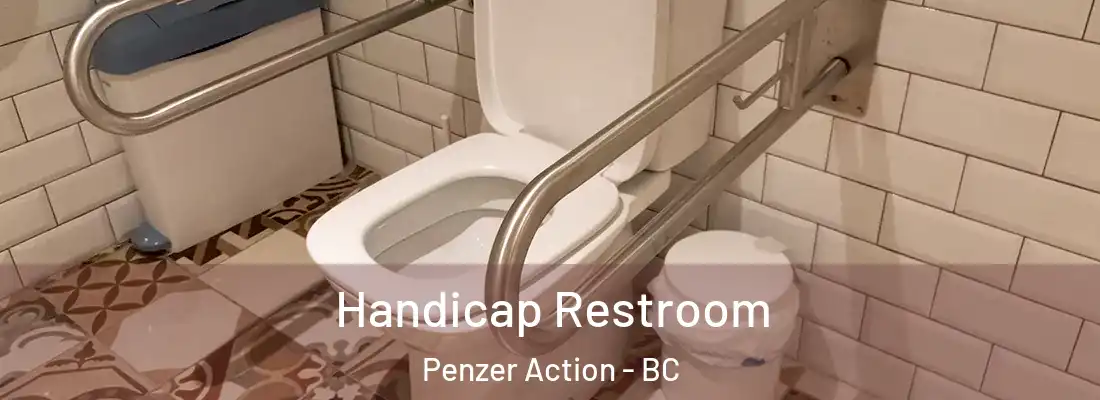  Handicap Restroom Penzer Action - BC