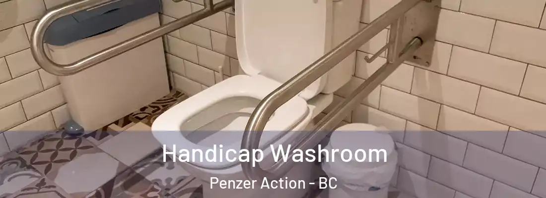  Handicap Washroom Penzer Action - BC