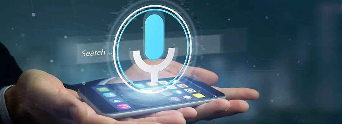 Enhance Security with Voice Recognition Access Systems in Langley, BC