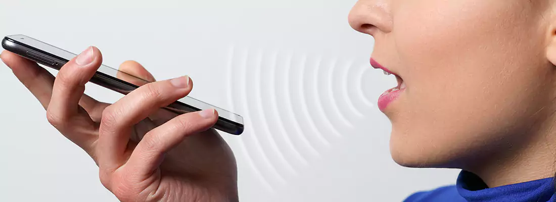 Residential and Commercial Voice Recognition Access Solutions in Langley, BC
