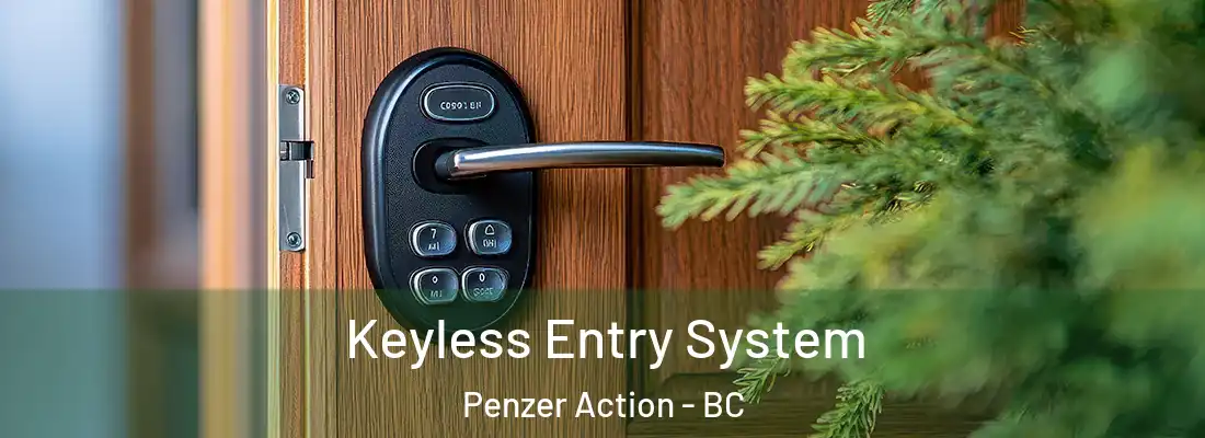  Keyless Entry System Penzer Action - BC