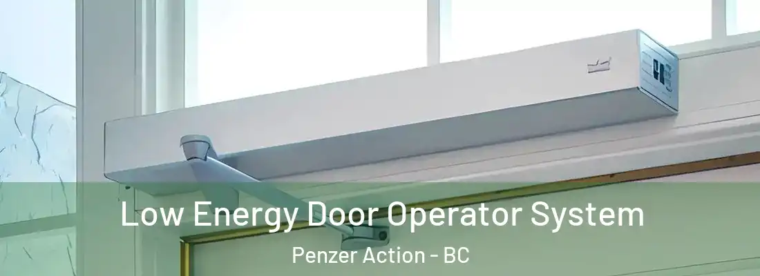  Low Energy Door Operator System Penzer Action - BC