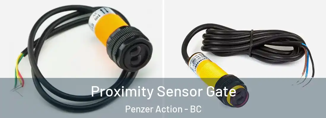  Proximity Sensor Gate Penzer Action - BC
