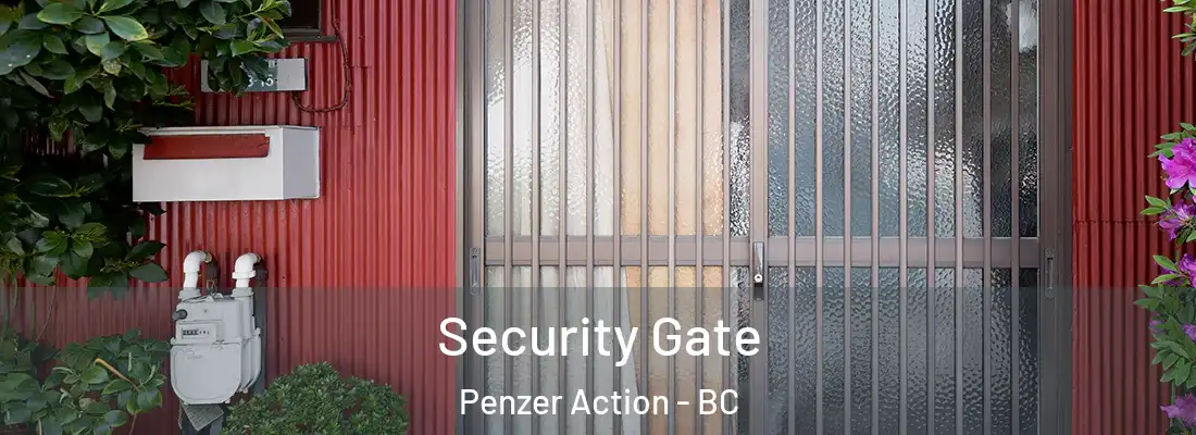  Security Gate Penzer Action - BC