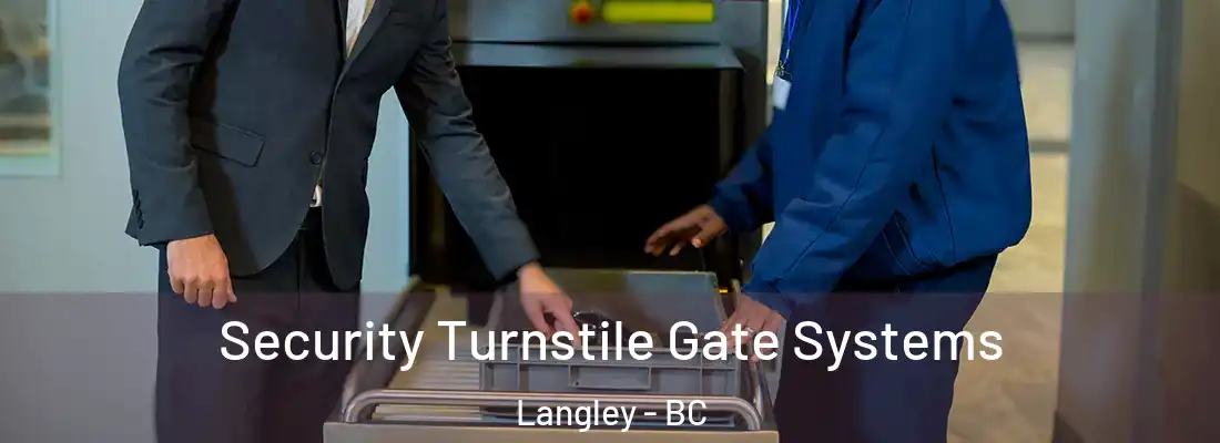  Security Turnstile Gate Systems Langley - BC