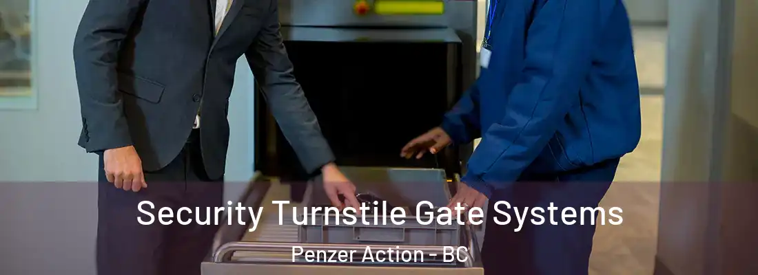  Security Turnstile Gate Systems Penzer Action - BC